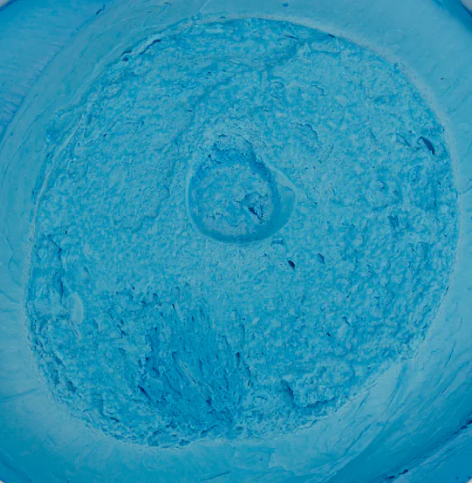 Brill Colored Vanilla Buttercream - Image 7